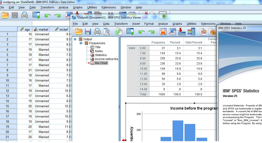 IBM SPSS Statistics download(1)IBM SPSS Statistics download(1)